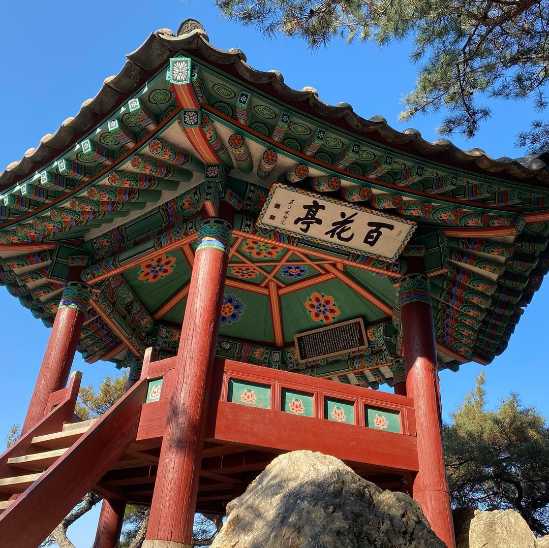부소산 낙화암's picture
