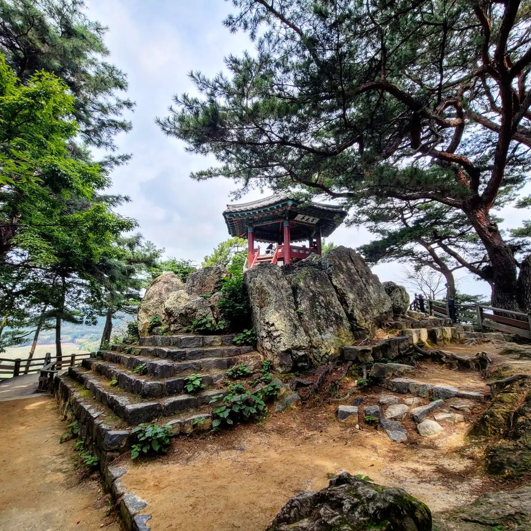 부소산 낙화암's picture