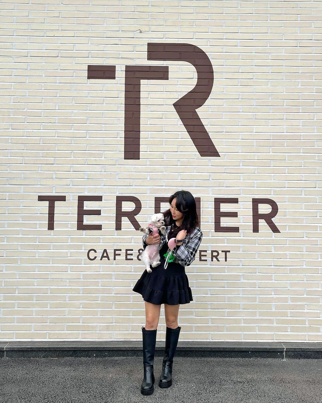 테리어(Telieo)