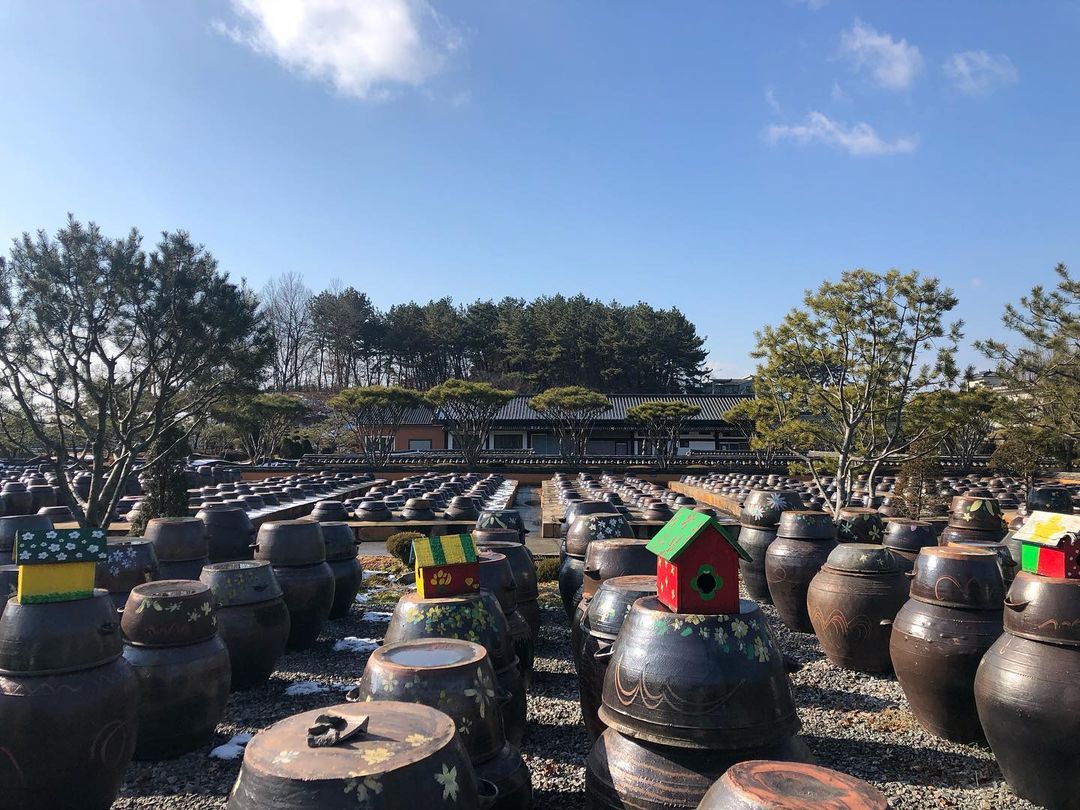 A Colorful Travel Experience in Iksan