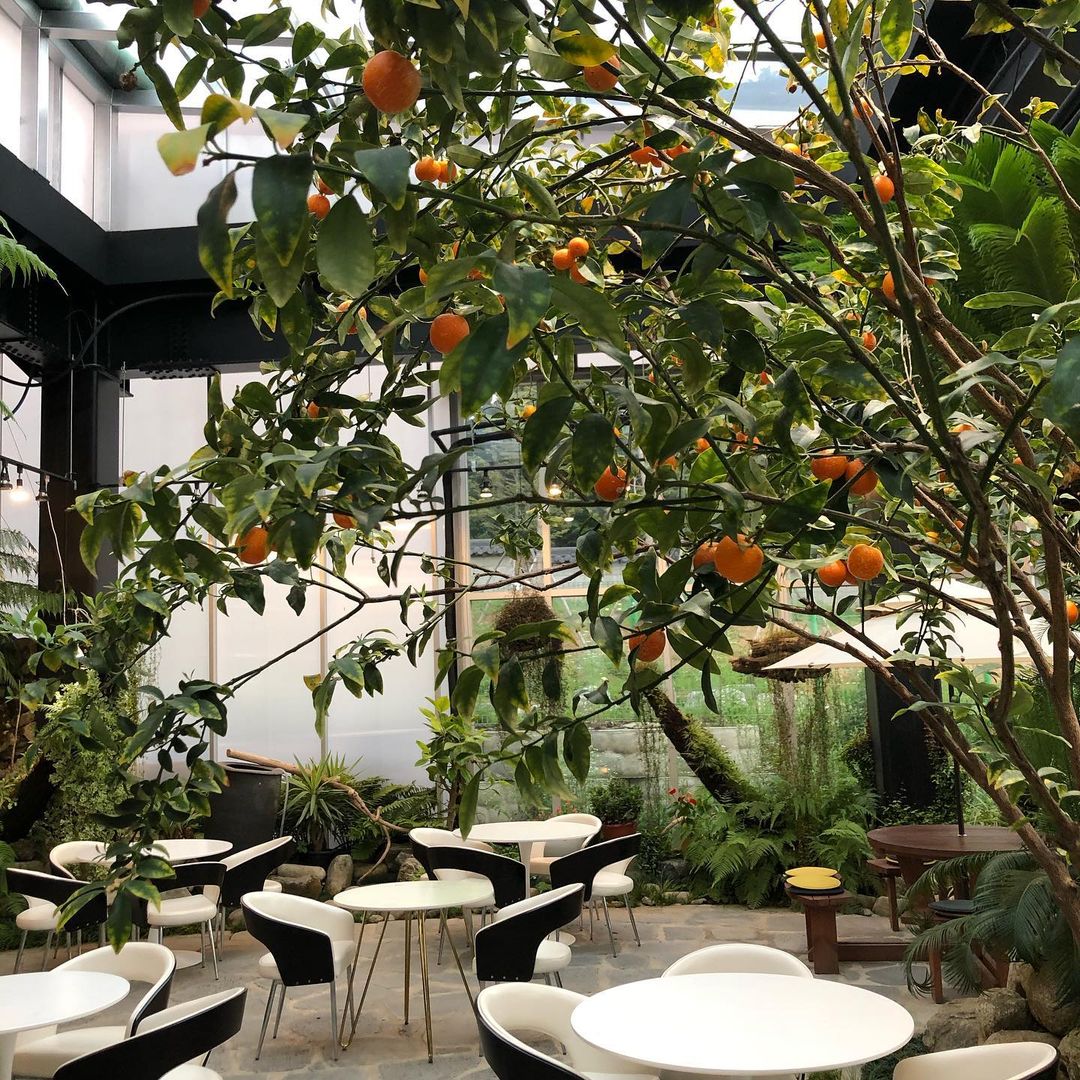 카페피오레(CAFE FIORE)
