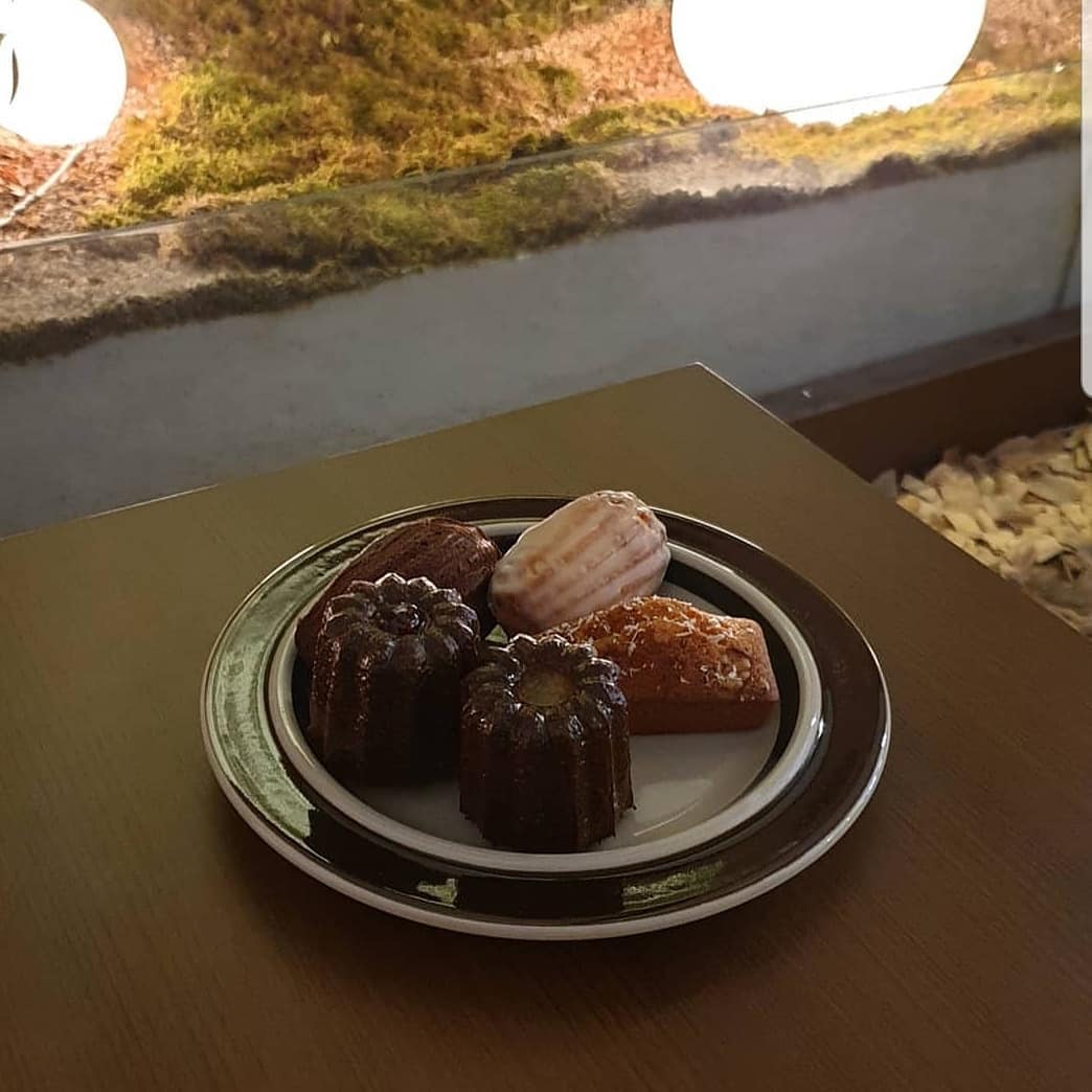 쿠라티오(cafe curatio)