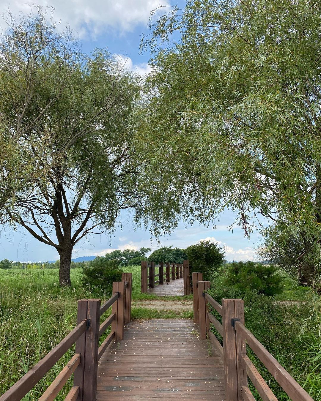 비봉습지공원(Bibong Wetland Park)