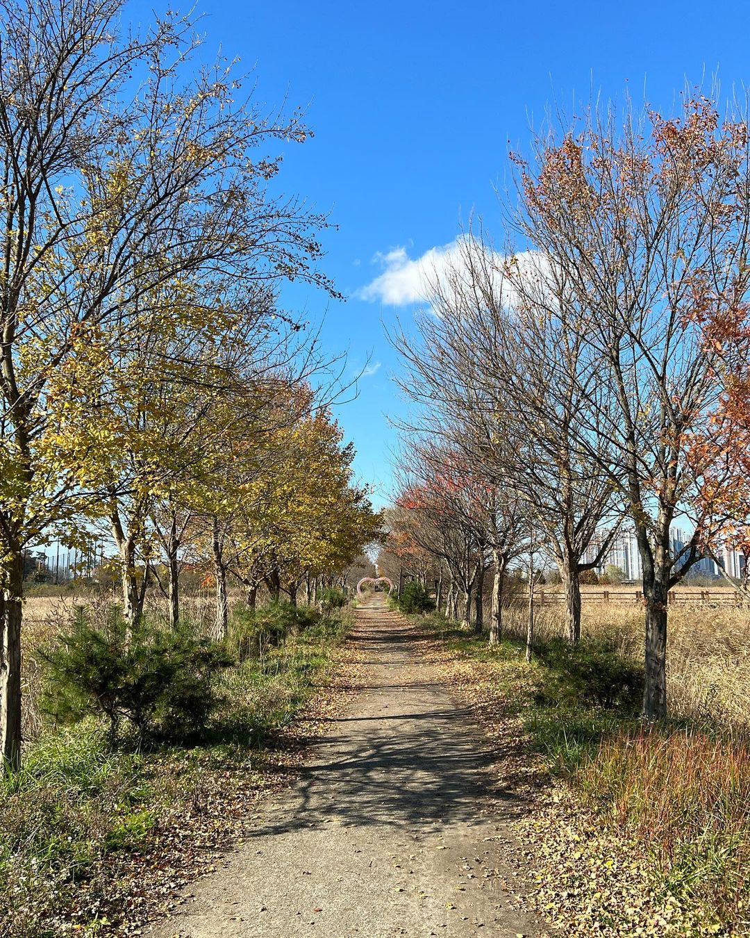 비봉습지공원(Bibong Wetland Park)