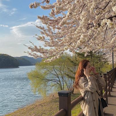 Healing Travel Course in the City Center