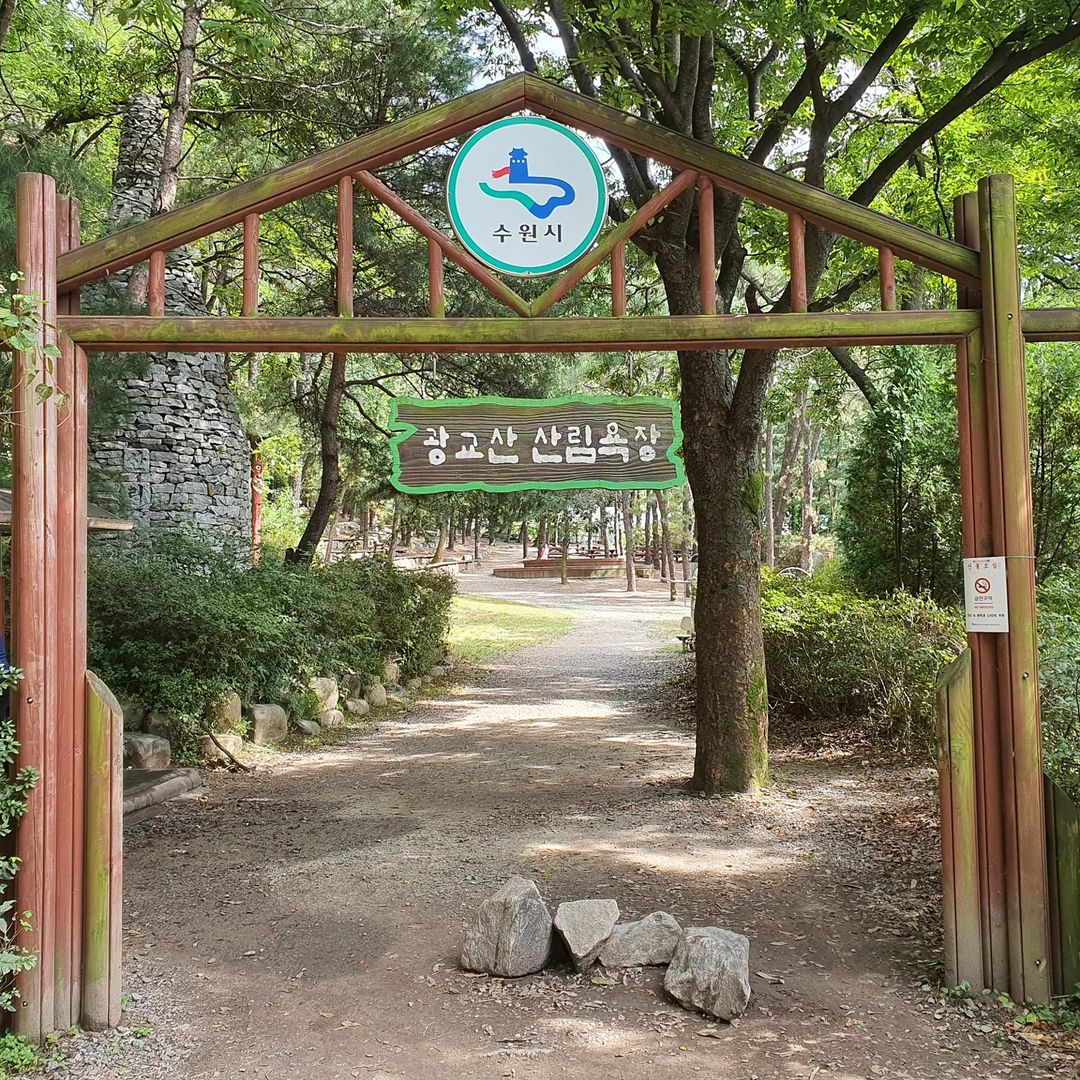 Relaxing Suwon Outing Course