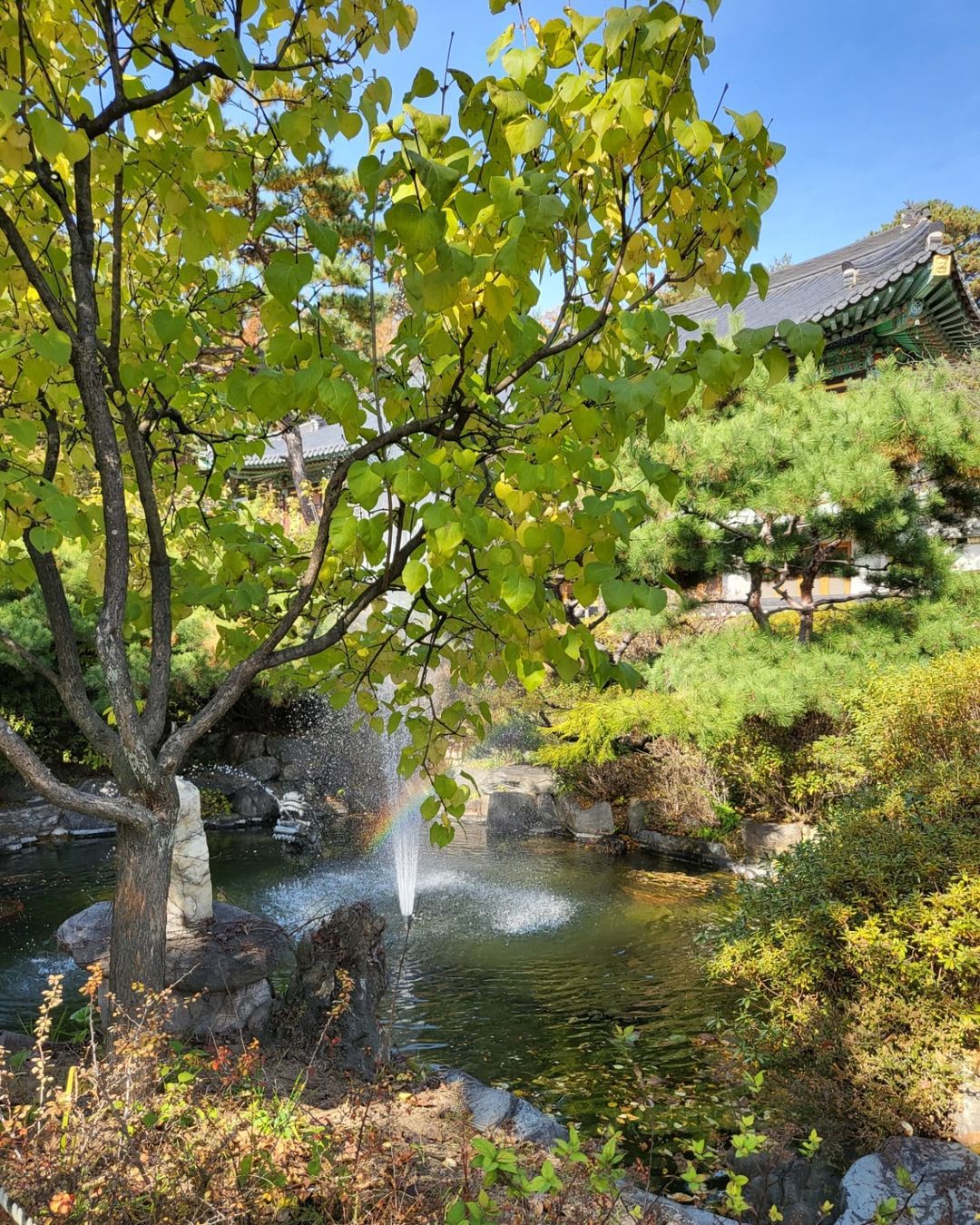 봉녕사(Bongnyeongsa)