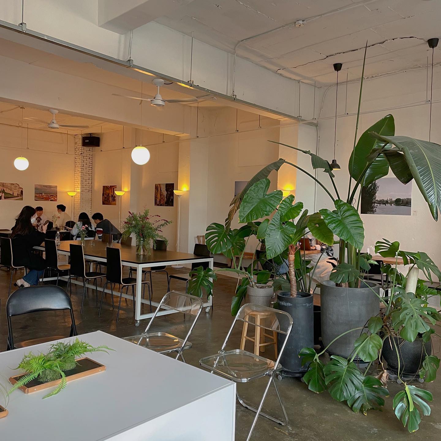 콜링우드(cafe colling wood)