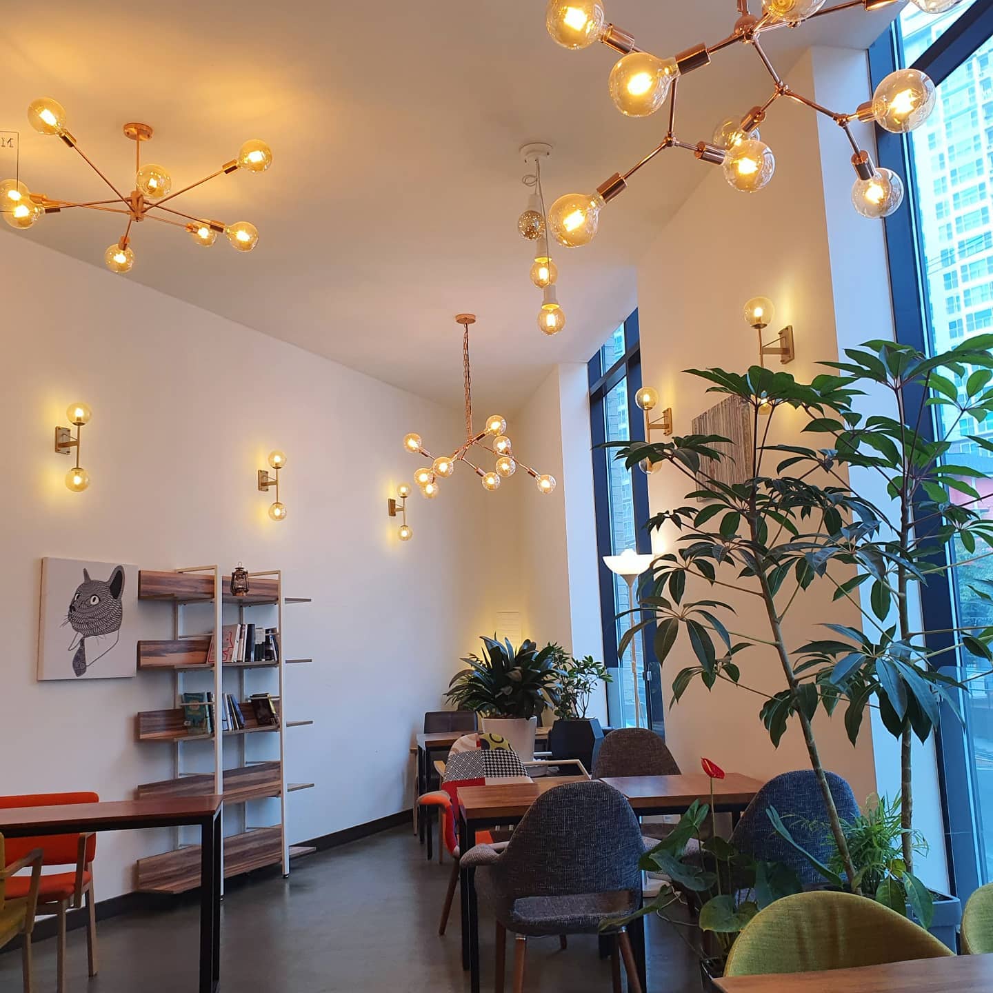 모든카페 (폐업)