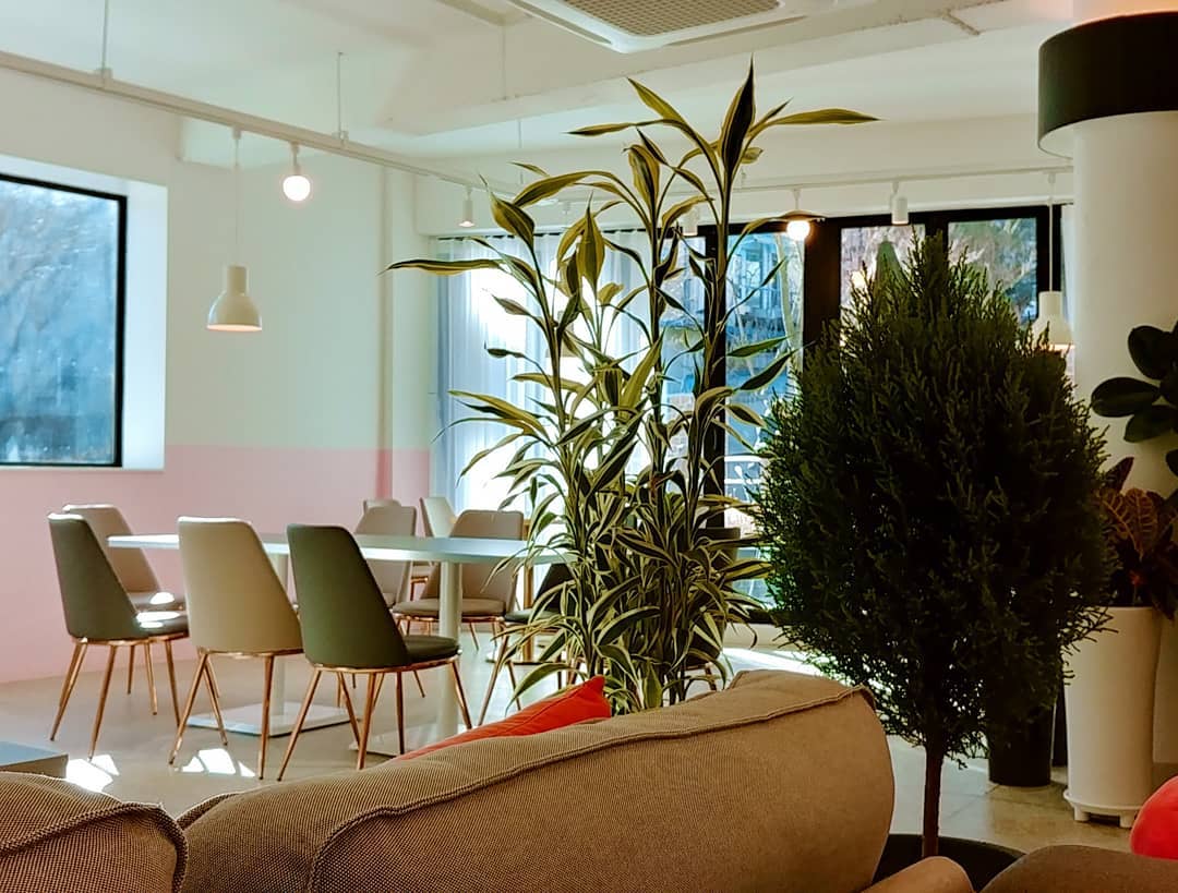 커피전문점 양카페 (폐업)