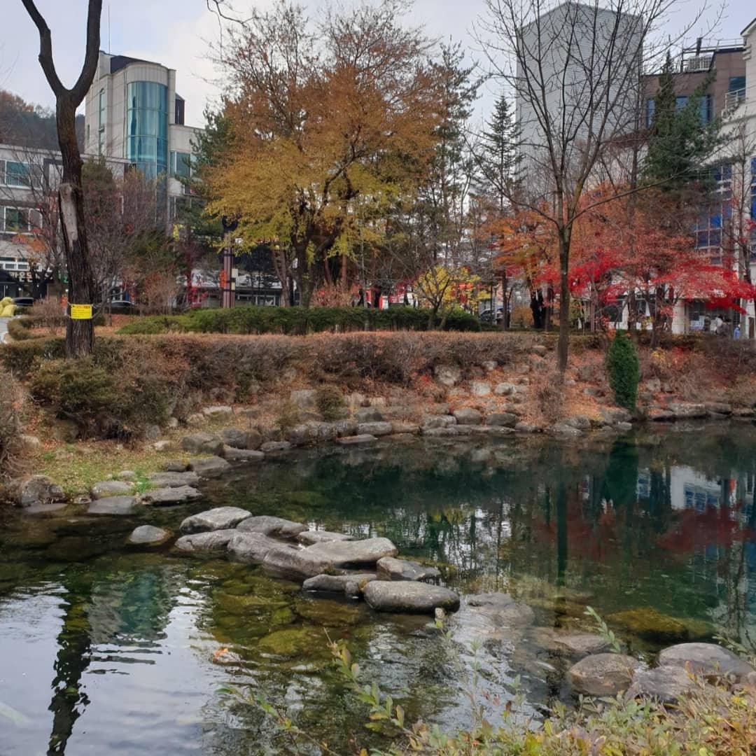 Taebaek Travel Preserving the Charm of Nature