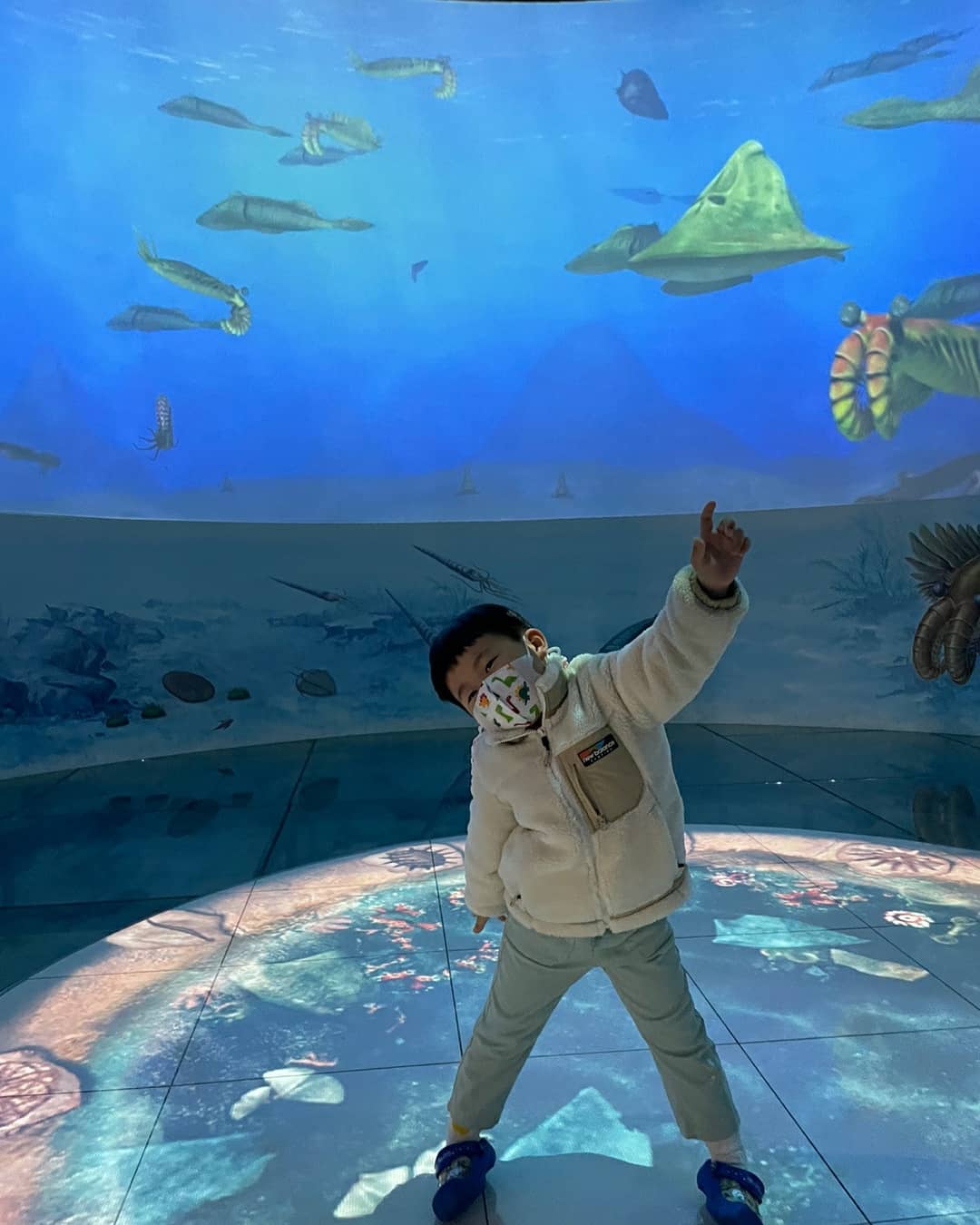 태백 고생대 자연사 박물관(Taebaek Paleozoic Museum)