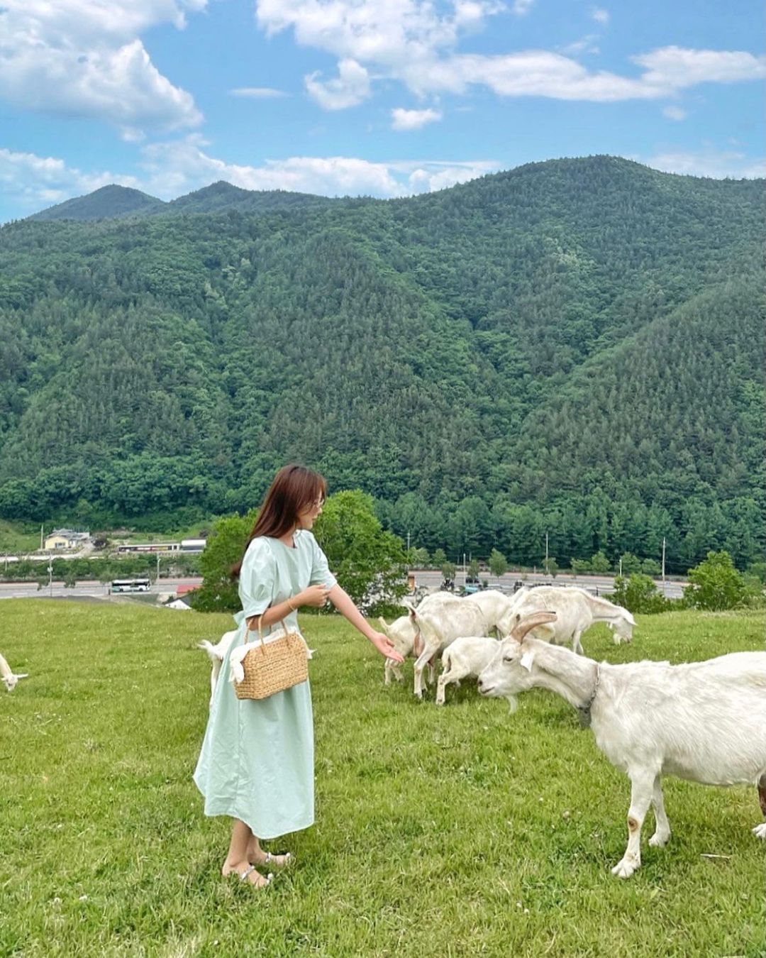 몽토랑산양목장(Montoran Goat Ranch)
