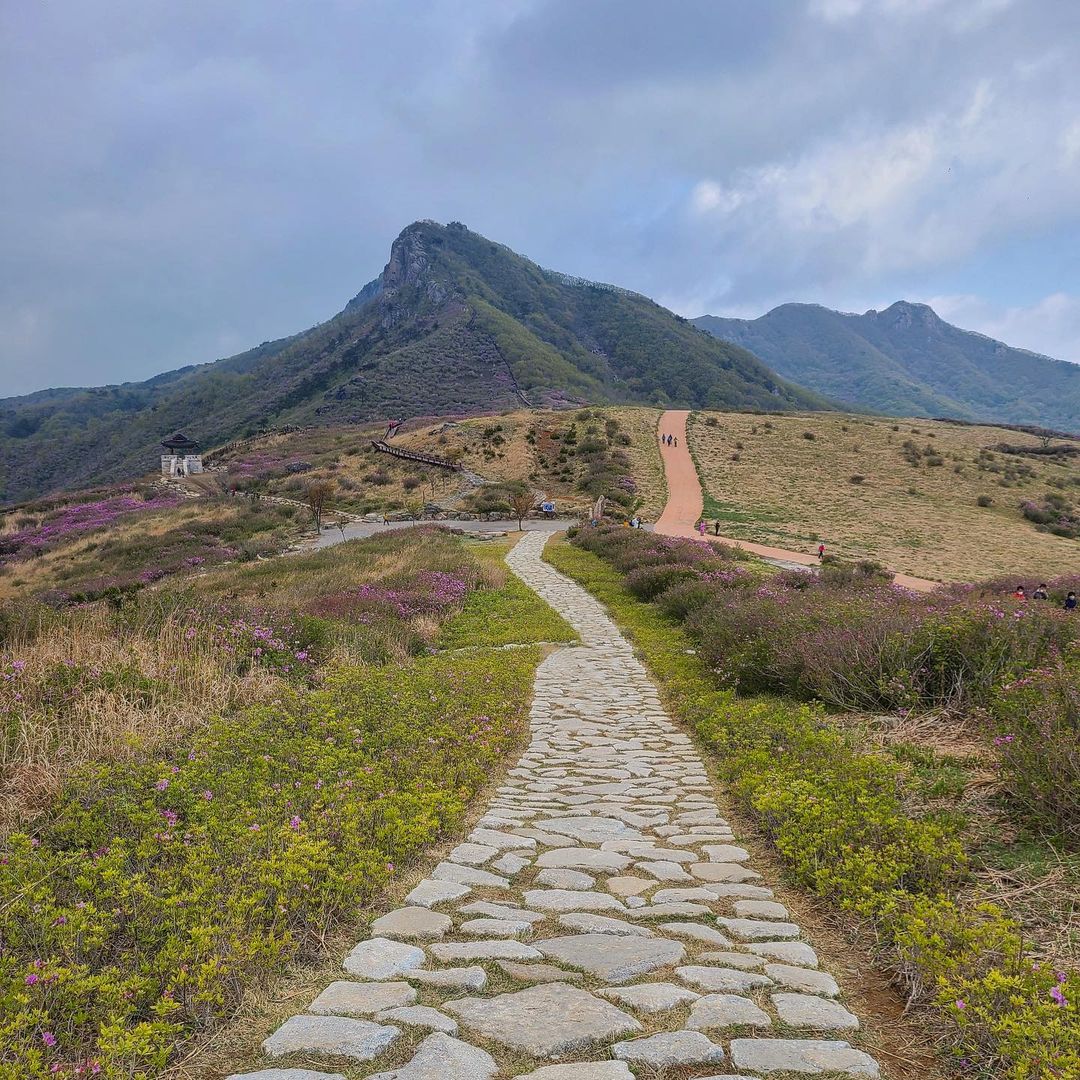 황매산군립공원(Hwangmaesan County Park)