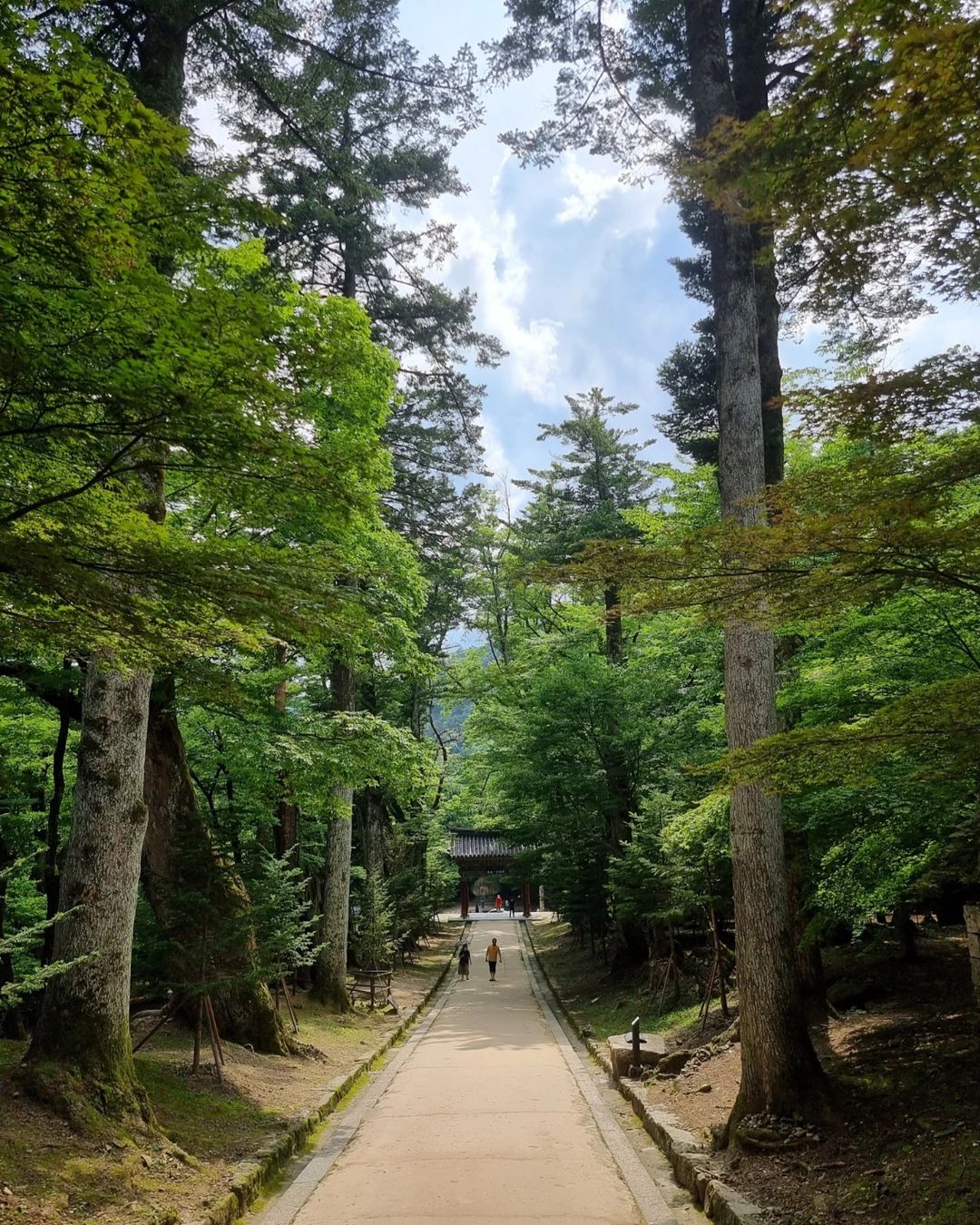 해인사(Haeinsa)