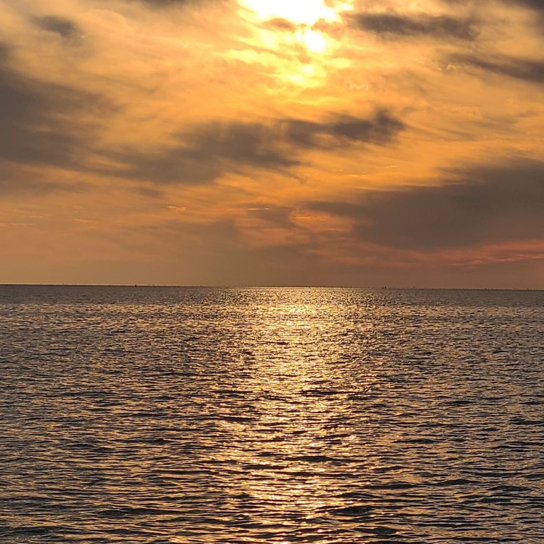 춘장대해수욕장(Chunjangdae Beach)