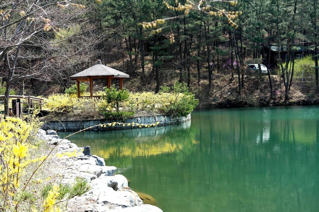 희리산자연휴양림(Huerisan Natural Recreation Forest)