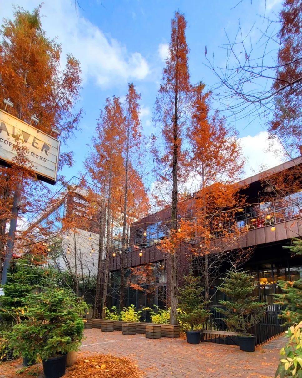 알베르(Alver Coffee)