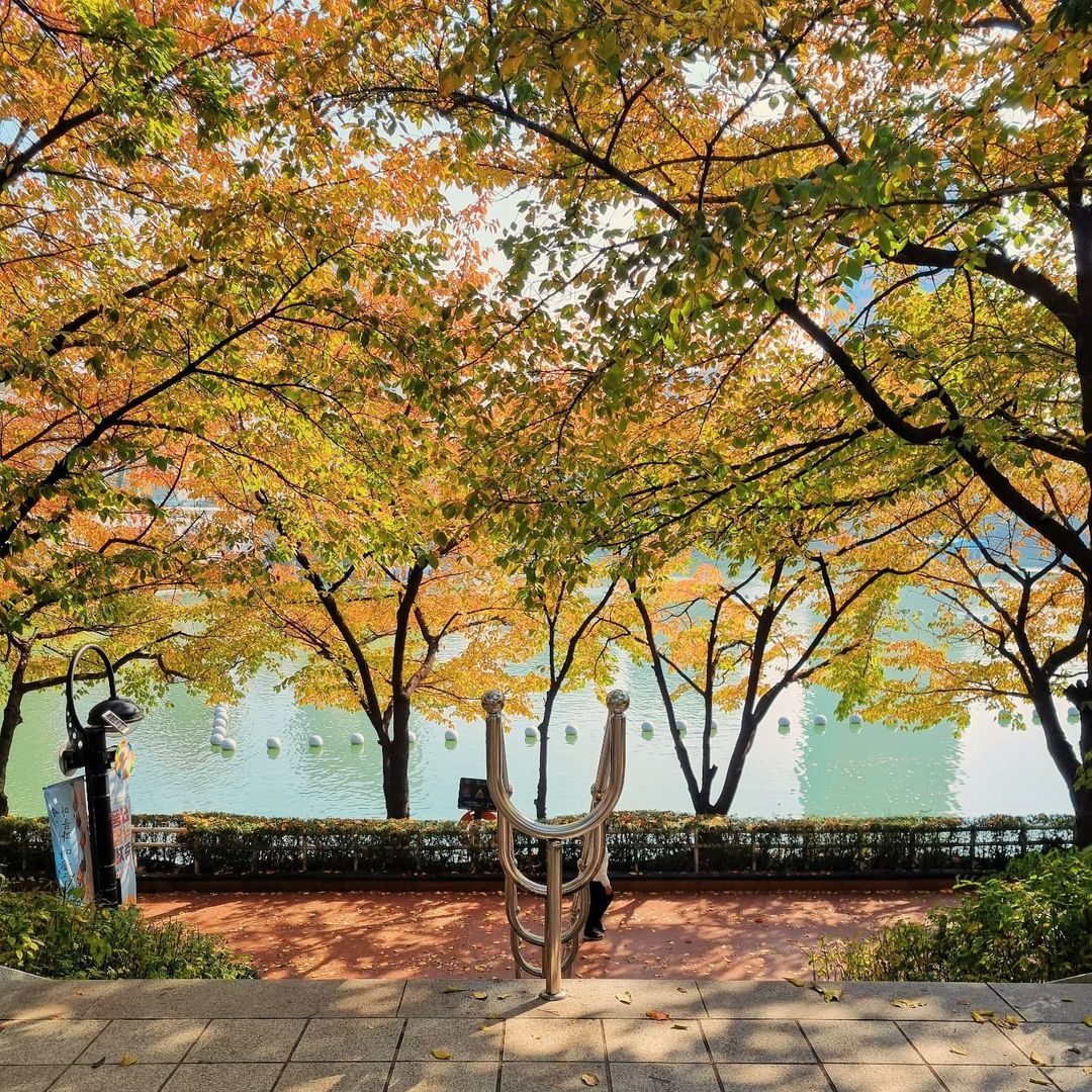 석촌호수공원(Seokchon Lake Park)