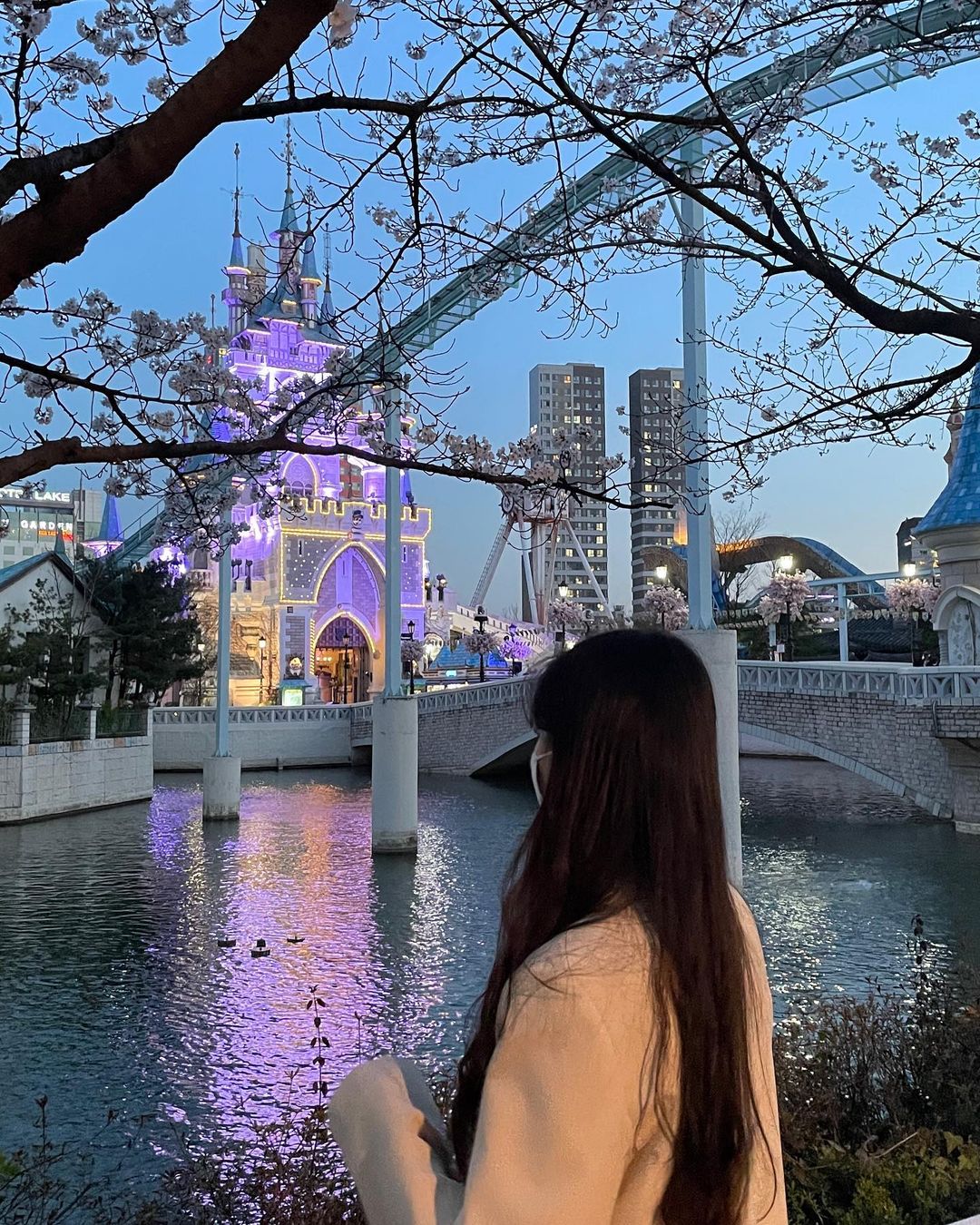 Seokchon Lake Cherry Blossoms & Lotte World Tower Private Tour