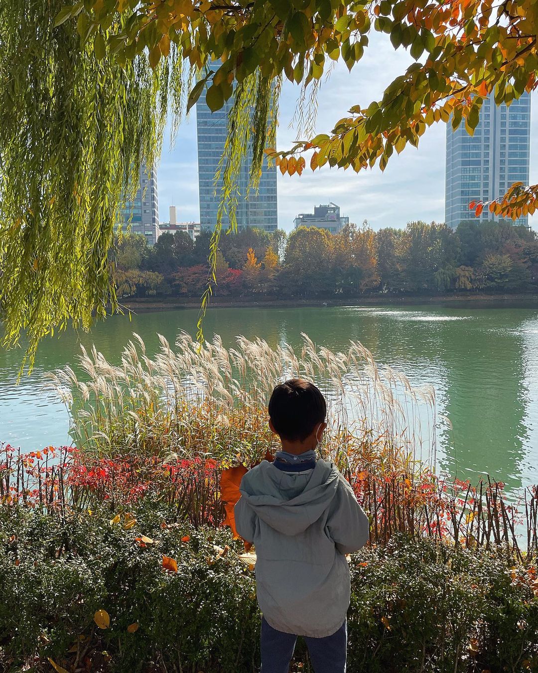Seokchon Lake Cherry Blossoms & Lotte World Tower Private Tour