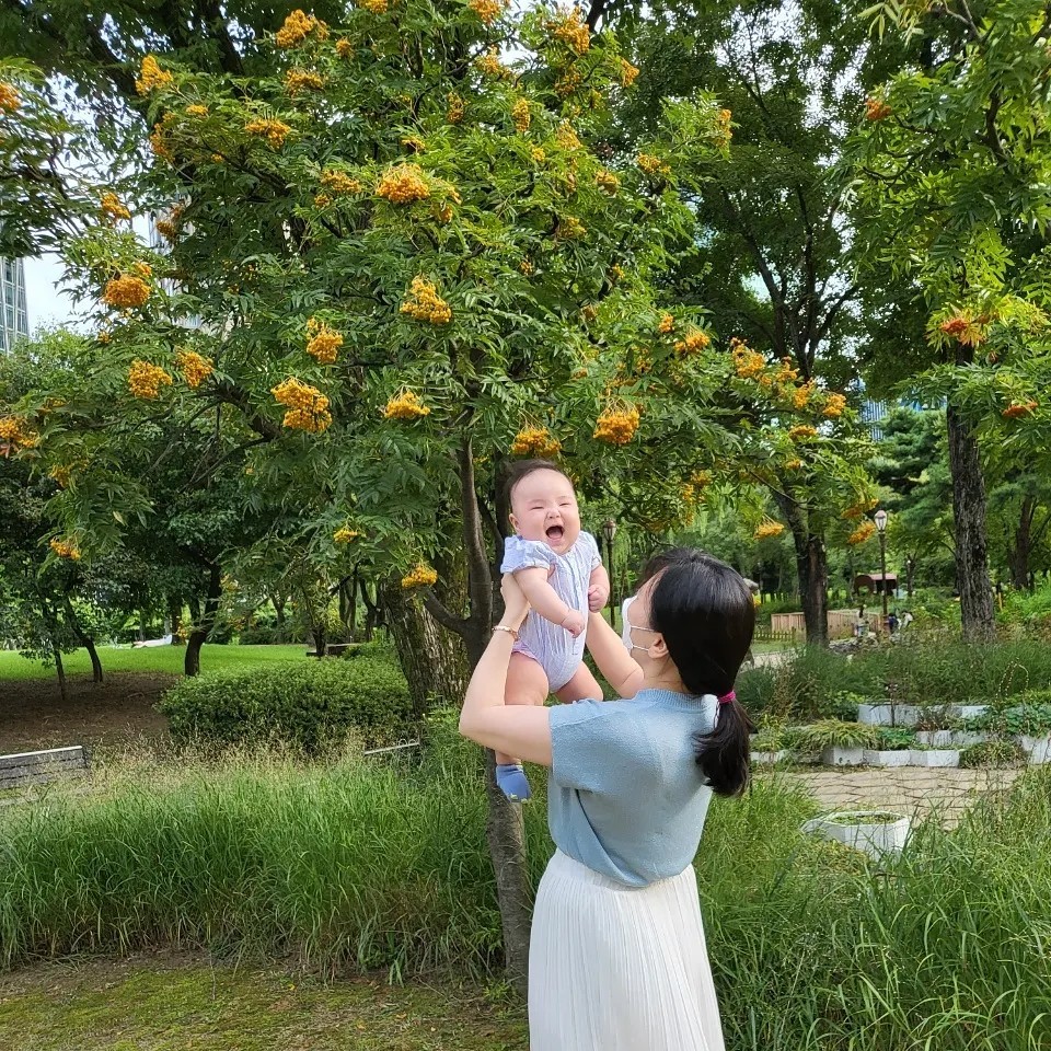 여의도공원(Yeouido Park)