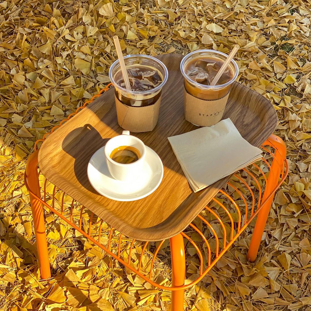 스태픽스(Staff Picks)