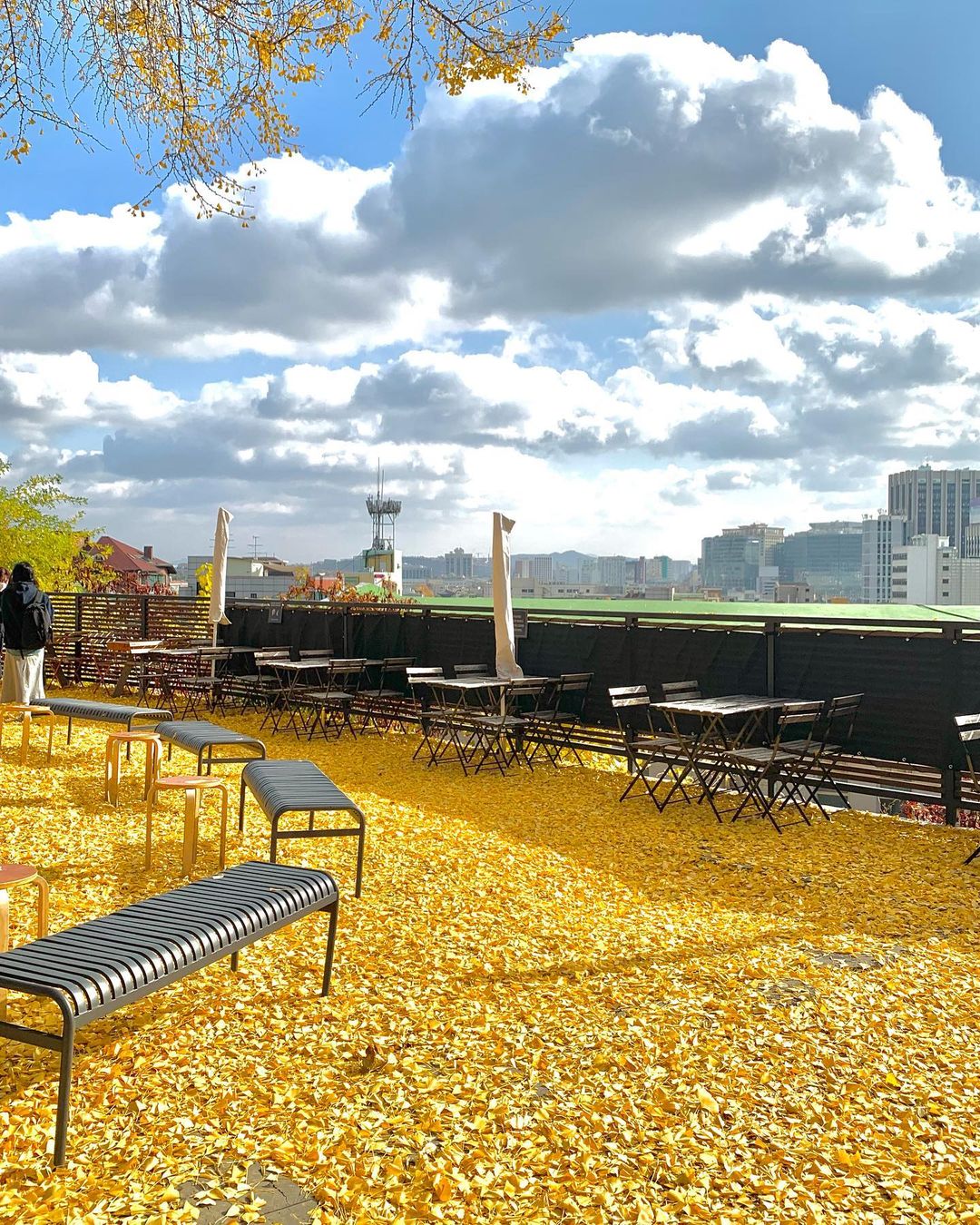 스태픽스(Staff Picks)