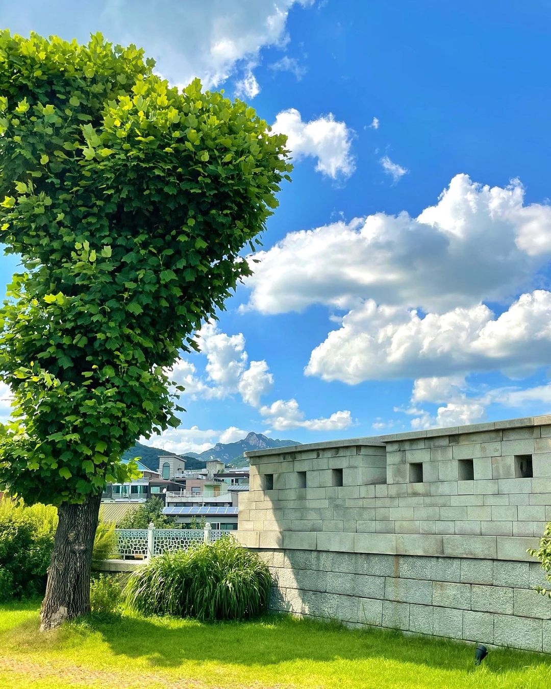 카페스트롤(Cafe Stroll)