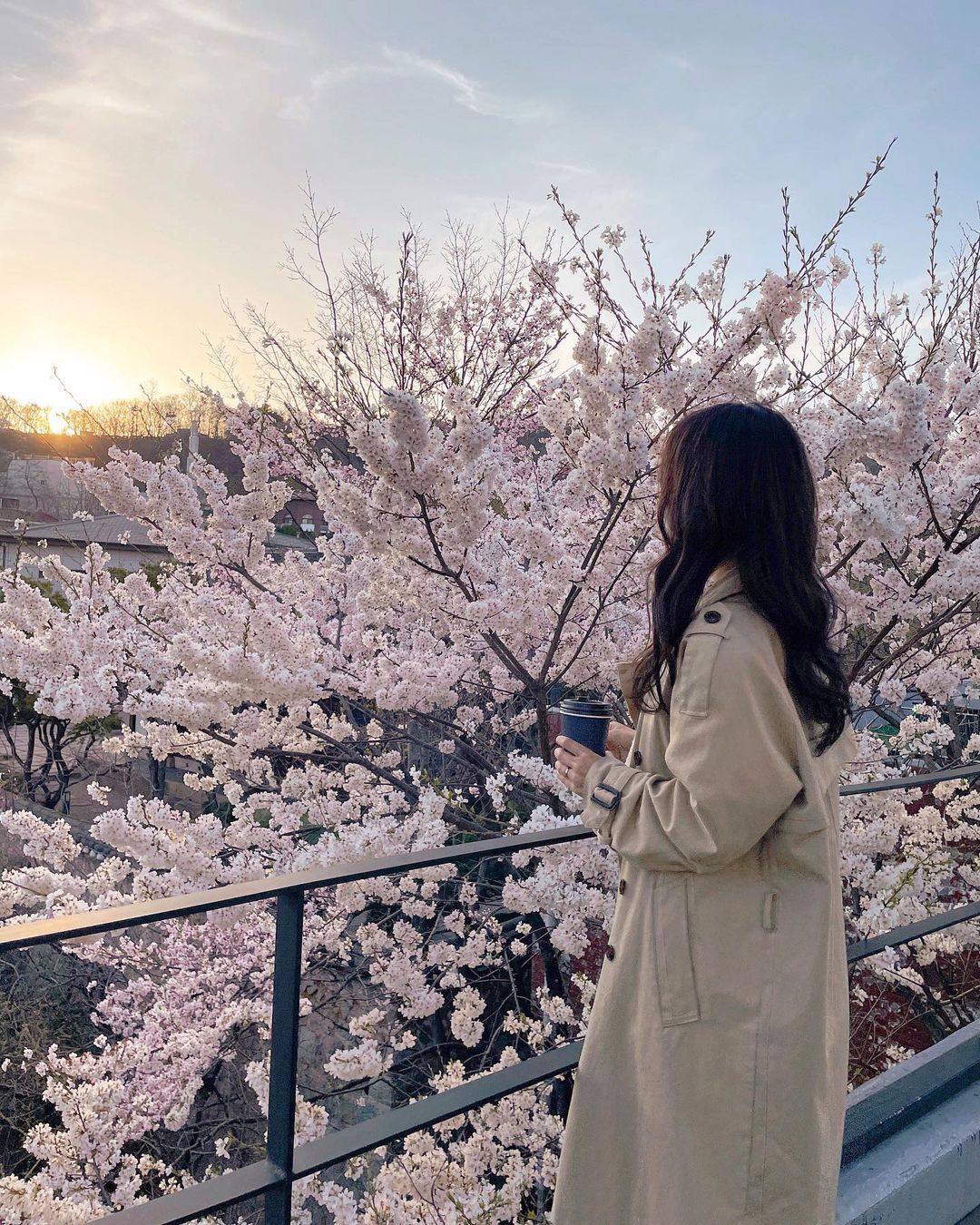 카페아르크 (폐업)()