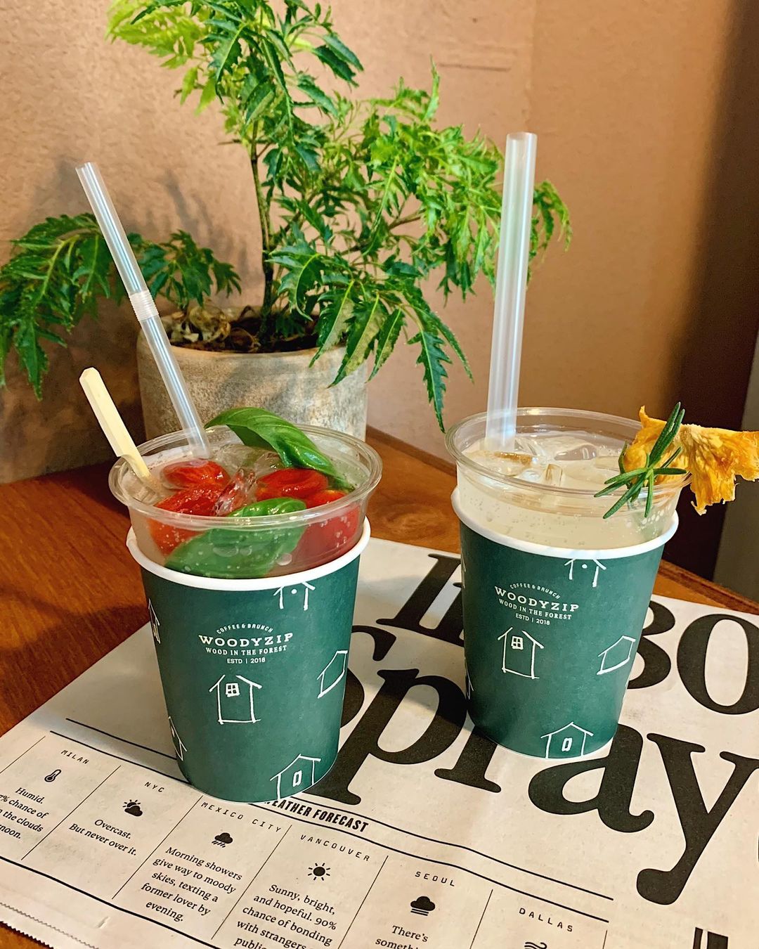 우디집(Woody Zip)