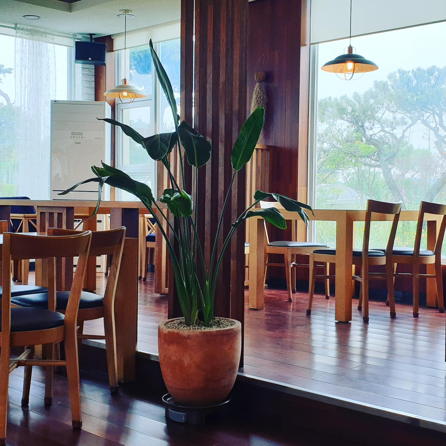 더 라두(The Ladu)