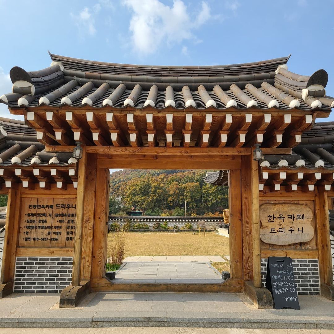 드리우니(driuni)