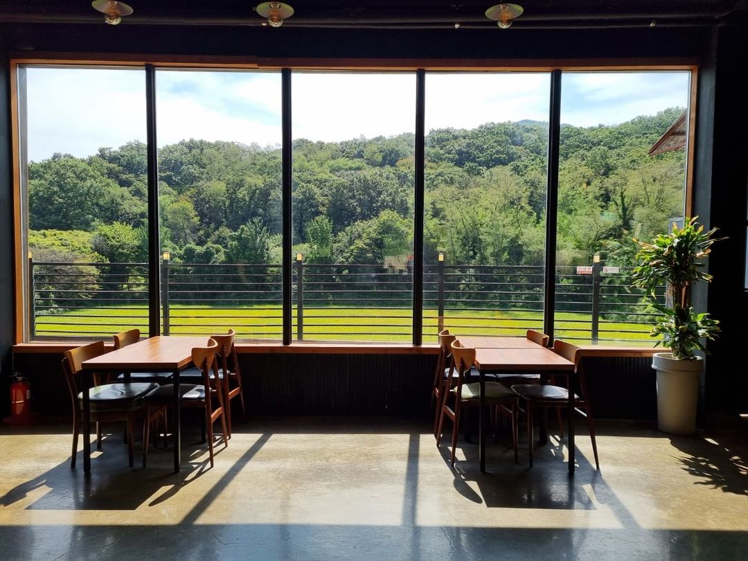 마리마리 (MARIMARI)