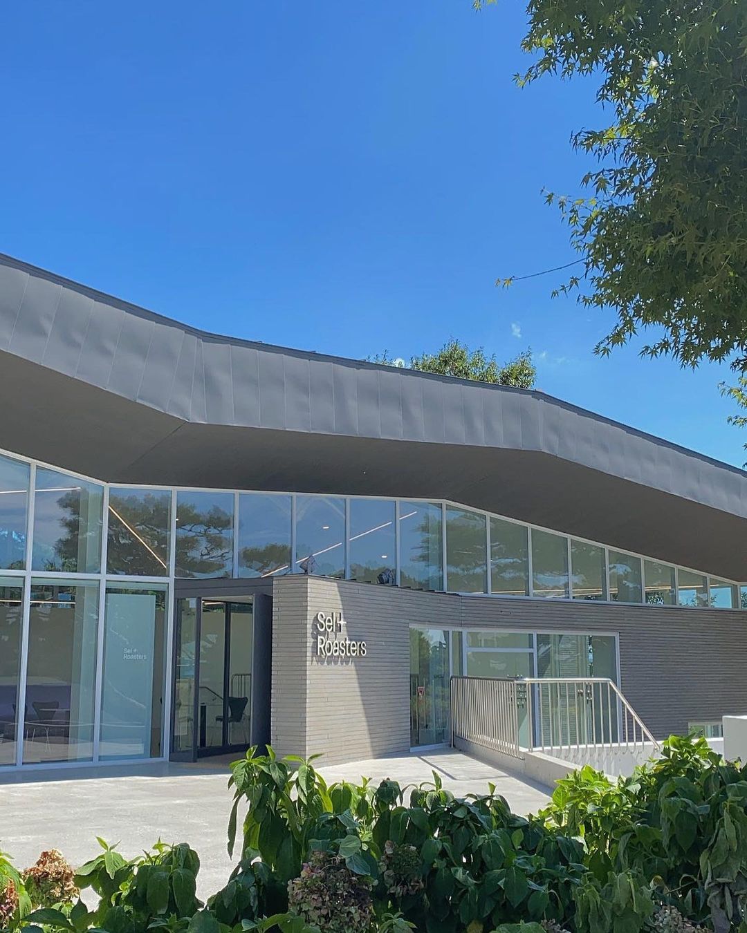 셀로스터스 강화점(selroasters)