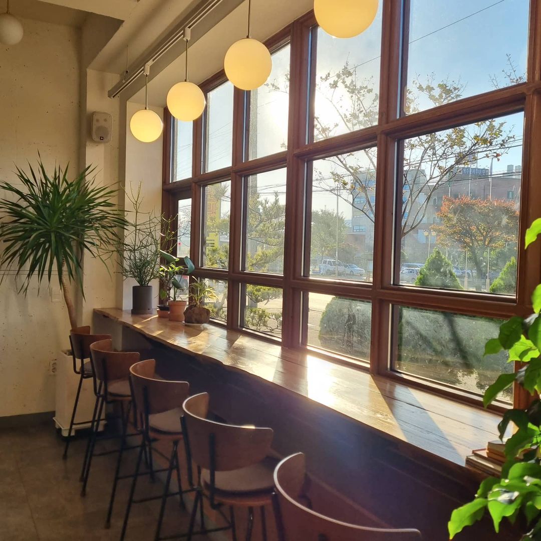 우트우트(woot,woot)