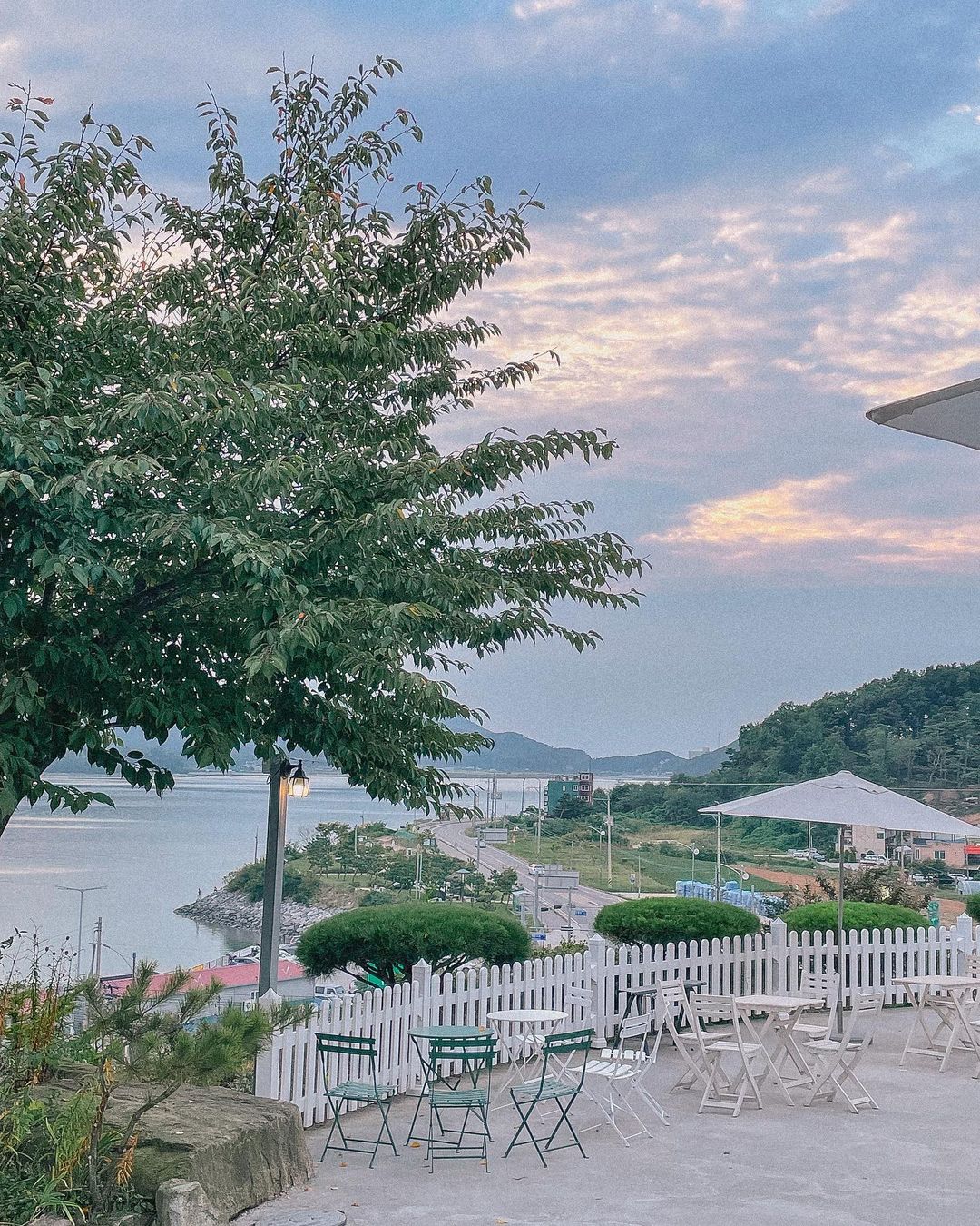 카페칼럼 (cafe column)