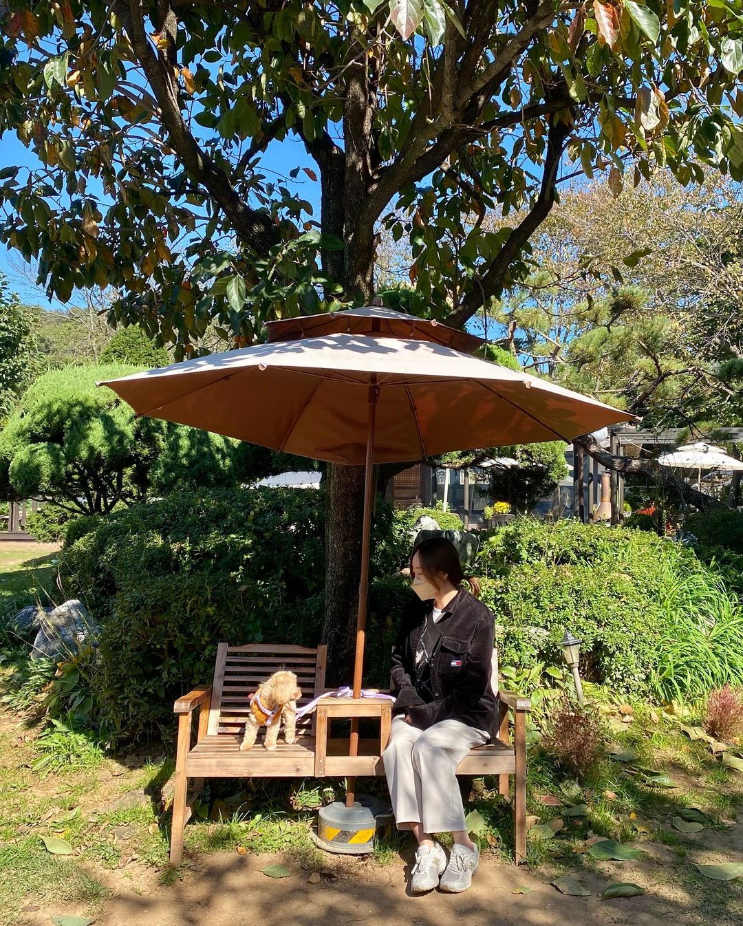 희소식 (hee sosic)