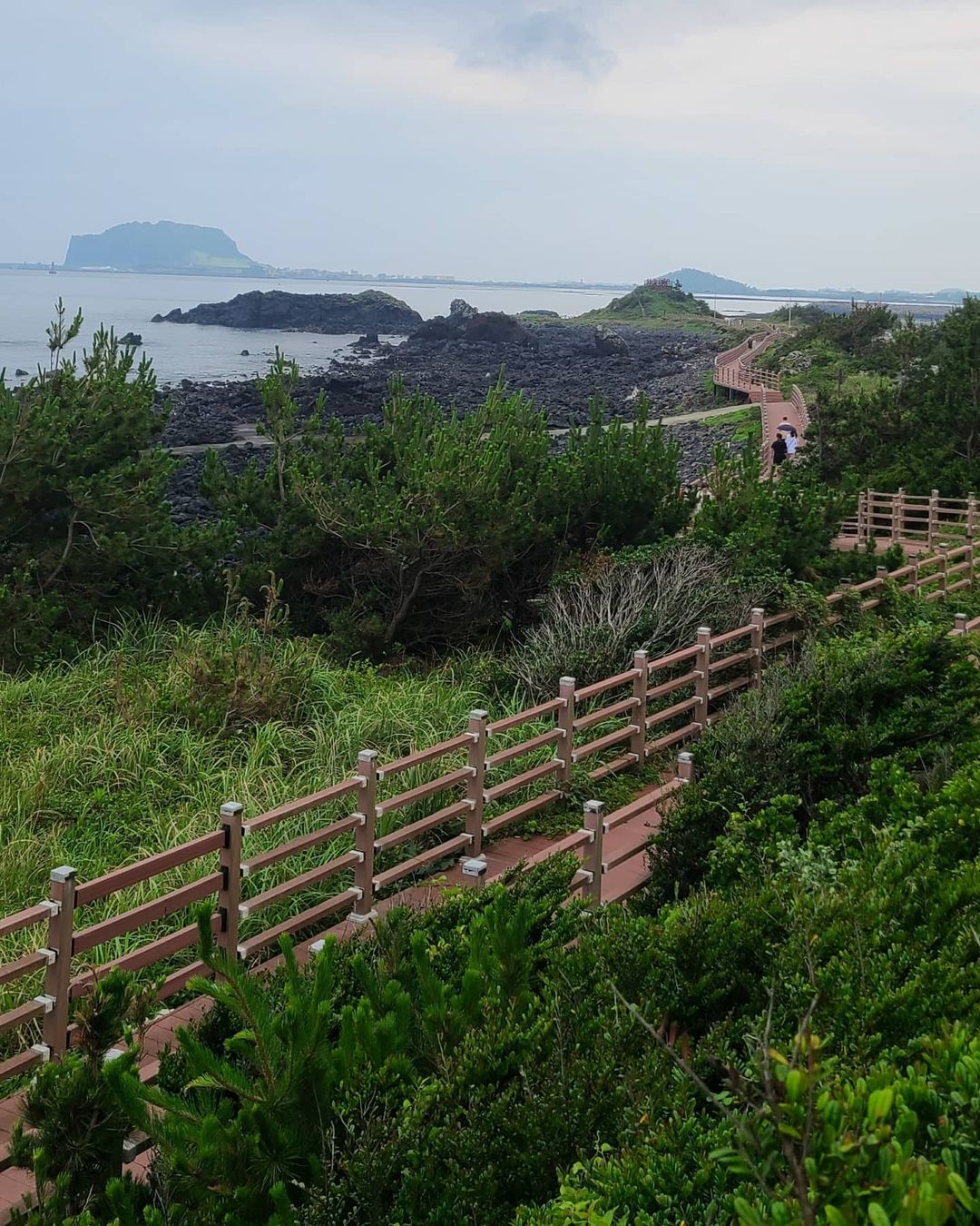Lee Byeong-gwon's Recommended Jeju Drive: Original Coastal Charm