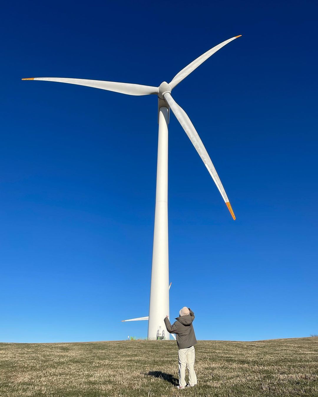 대관령삼양목장's picture