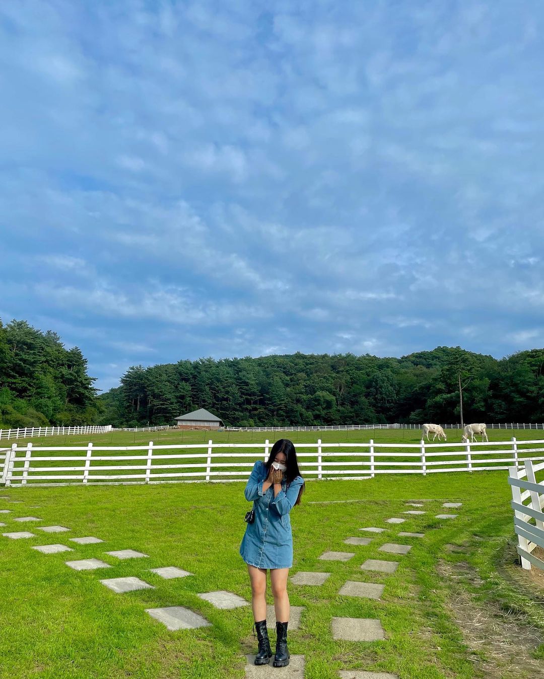 대관령하늘목장's picture