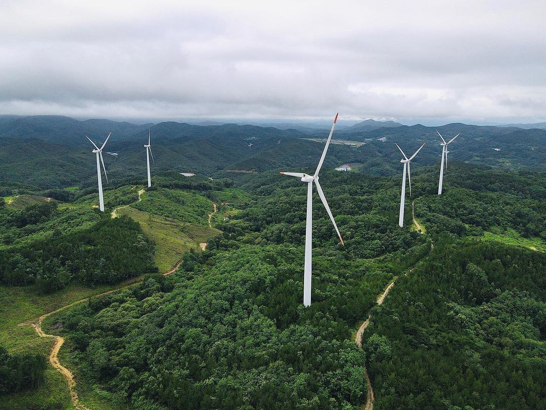 영덕 풍력발전단지(Wind Power Generation Area)