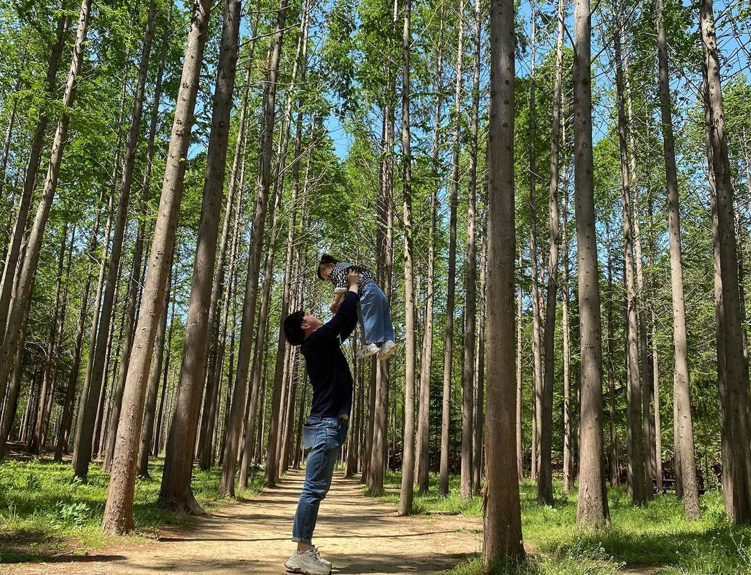 벌영메타세콰이어숲(Beolyeong-ri Metasequoia Forest)