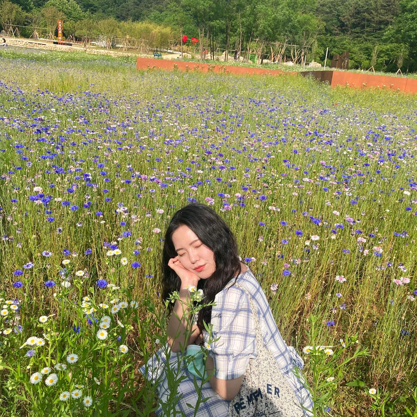 Jeonju Couple's Travel Destination With Love Flowing Up