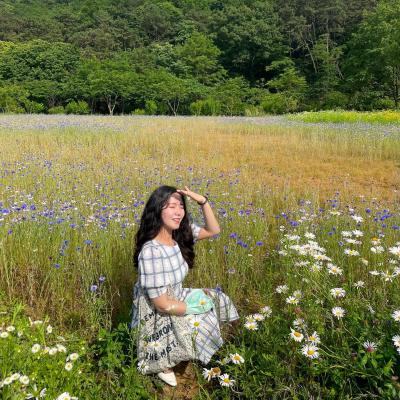 The fall that we meet in Jeonju