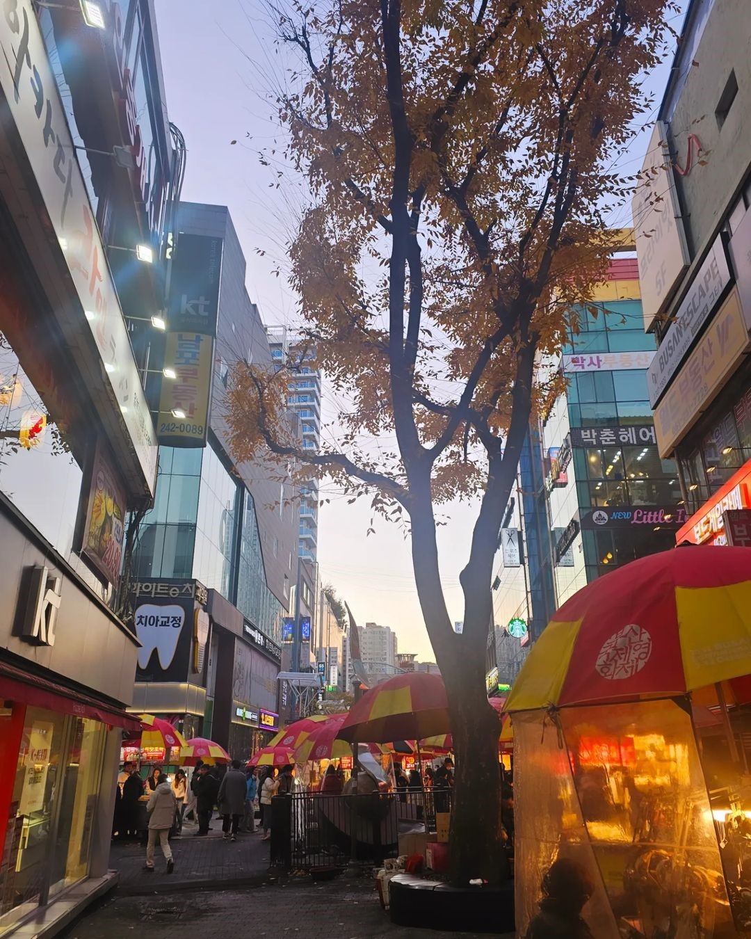 부산 원도심 & 송도 해상 스카이 투어