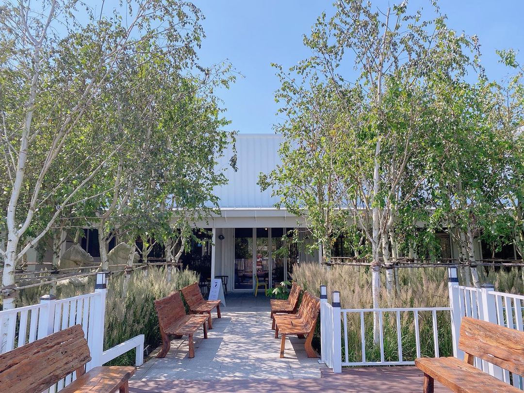 떼레노시떼 스페셜점(Terreno cité)