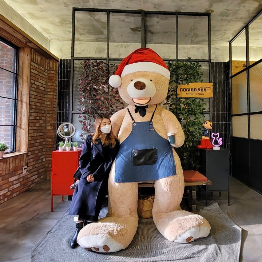 고기로565(GOGIRO 565)