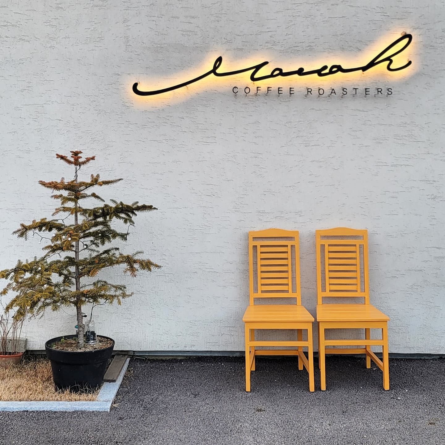 마라커피로스터스(marah coffee roasters)