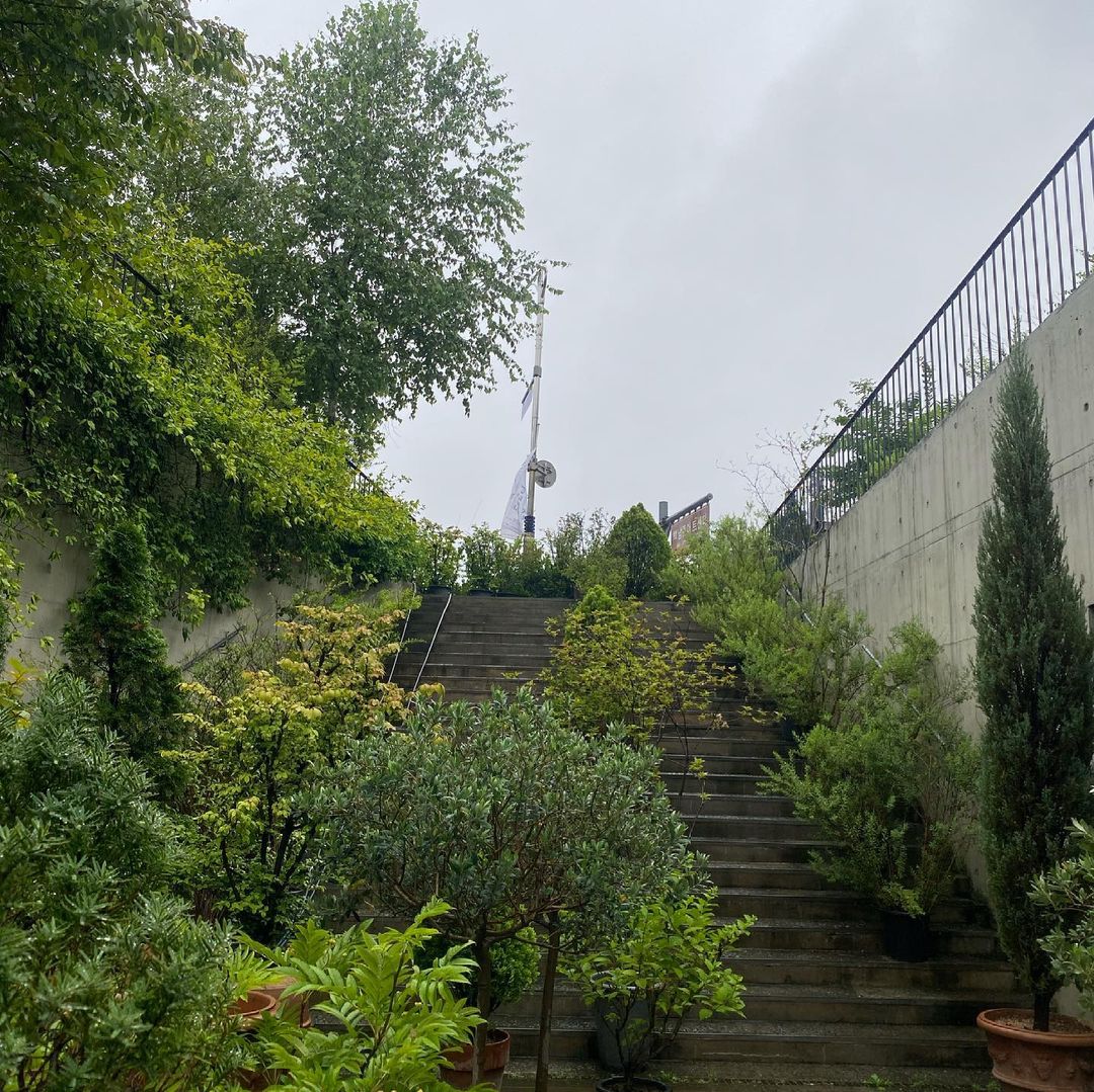 하이드파크(Hyde Park)